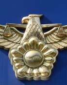 “태국서 감금” 한밤중 걸려온 아들 전화…어머니 신고로 극적 구조