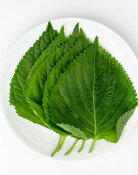 어제 산 깻잎 검은 반점 왜?…“이렇게 보관하세요” [알쓸톡]