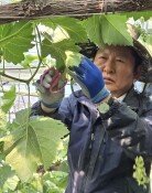 정청래 “하정우 부산출마 삼고초려…곧 공개 요청할 것”