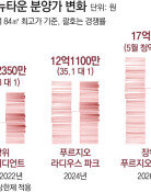 성북 84㎡ 17억 전망… 뛰는 집값, 더 뛰는 분양가