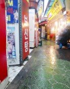 내년부터 개고기 판매·식용 금지…청주 사육 농가 80% 자진 폐업