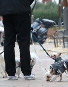 국민 88% “동물은 물건 아냐”… 정부, 민법 개정 다시 착수