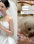 남보라, 반려견 파양설 직접 해명…“아들 육아 같이 하는 중”