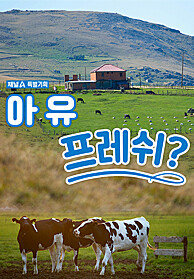 특별기획 아유 프레쉬?