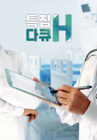 특집다큐H