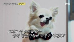 '뒤돌아보지 말아요' 음원발매! 음악전문가 및 각계각층의 반응은?! | tvN 210205 방송