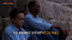OCN Movies I [무비즈 PLUS] '감옥의 두 얼굴' 특집 #쇼생크탈출 X #프리즌