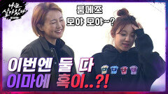 룸메이트 오정연x우기♥ 입술에 이어 이번엔 '이마'에 둘다 혹이?! (＞_＜) | tvN 201224 방송