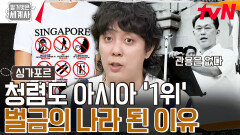 '싱가포르'에서 타인의 와이파이를 사용하면 벌금 100만 원이다? | tvN 240723 방송