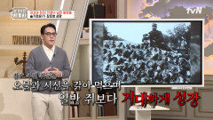 살아있는 사람까지 뜯어 먹는 쥐? 제1차 세계대전의 참혹한 환경.. | tvN 250408 방송