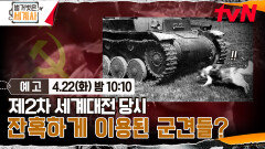 [예고] 제2차 세계대전 당시 잔혹하게 이용된 군견들?