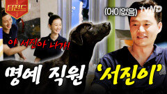 뒷정리부터 손님 배웅까지 안 하는 게 없는 서진이네 명예 직원 '서진이'ㅋㅋㅋ | #서진이네 #티전드