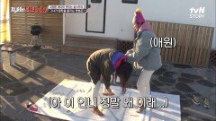 조개구이를 건 한판 승부! 추억이 뿜뿜 샘솟는 강예빈의 땅따먹기 ㅋㅋ | tvN STORY 211229 방송