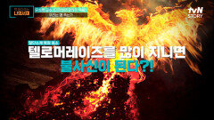 우리가 죽을 수 밖에 없는 과학적인 이유?? 불멸 = 암세포의 전유물 | tvN STORY 220704 방송