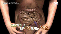 독소에 대한 오해와 진실 독소는 지방과 만나면 더 독해진다? | tvN STORY 230402 방송