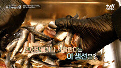숲의 나라핀란드의 건강 비결은 바다 속에? 저지방 고단백 요리의 정체! | tvN STORY 230521 방송