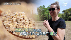 혈당은 물론! 비만 개선에 도움이 되는 건강한 탄수화물 '파로' | tvN STORY 240721 방송
