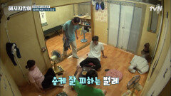 폐가 하우스의 전설... 타율 0%의 벌레 잡는 봉태규 아저씨...ㅋㅋㅋ | tvN 211207 방송