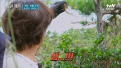 ＂심봤다!!＂ 산책 중에 발견한 대박 음식 ㄷㄷ 서현철정재은 부부의 더덕 파티~ | tvN STORY 211221 방송