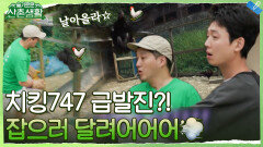 [하드털이] 토스트를 향한 험난한 여정... 급발진 비행을 시작한 치킹747 잡으러 달려어=3 | tvN 211203 방송
