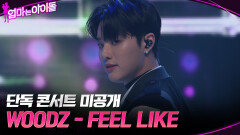 [단독 콘서트 미공개] WOODZ - FEEL LIKE