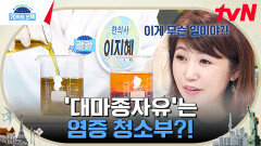 대마씨에서 나온 기름이 내 몸에 쌓인 콜레스테롤을 녹여준다? 자연에서 찾은 염증 청소부! 대마종자유 | tvN 230921 방송