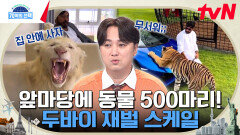 집 앞마당에 동물원이..?ㄷㄷ 애완 호랑이부터 사자까지 입이 떡 벌어지는 두바이 재벌의 삶 | tvN 240215 방송