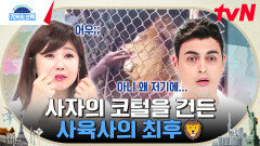 '객기 끝판왕' 막장 빌런들의 만행 모음! 단순한 장난으로 인해 생사를 오간 사람들 | tvN 240725 방송