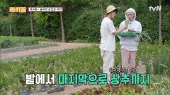 라면에 넣을 토핑은 직접 ‘따다’ 마련하는 편(?) 자연 마트에서 딸기까지 Get it | tvN 220603 방송