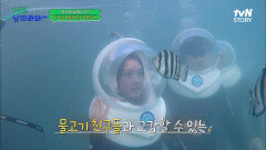 씨워킹 첫 도전하는 후X재시! 아빠를 위해 용기낸 기특한 재시 ^ㅁ^ | tvN STORY 221111 방송