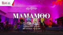 마마무a.k.a 믿듣맘무의 내적 댄스 폭발하는 히트곡 라이브 모음⭐ #highlight
