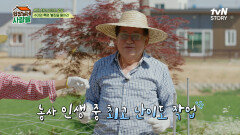 텃밭 보수 공사하는 날! 농사 인생 최고난도 작업(?) 특 大 사이즈 그물에 당황한 김회장네 | tvN STORY 240722 방송