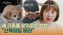 친해지길 바래 서인영 남편과 강아지의 숨 막히는 어색함...! | tvN STORY 230413 방송