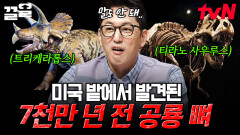 유적지 아니고 평범한 밭 맞습니다⭕ 미국의 일반 농장에서 생긴 일(feat. 공룡 뼈🦴) | 프리한19