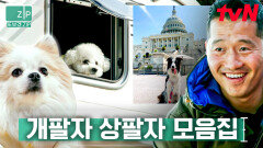 (90분) 강형욱 인정 상위 0.1% 상팔자 강아지 모음zip 세계 여행에 캠핑까지?! 귀여운데 왕 부럽다 | 고독한훈련사