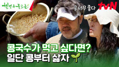 여름 별미 콩국수를 먹기 위한 준비‍ 콩 삶기부터 시작! #유료광고포함 | tvN 240629 방송