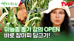 마늘종 뽑기 어려운 거였네 마늘🧄 수확하고 바로 장아찌까지 만들기 #유료광고포함 | tvN 240706 방송