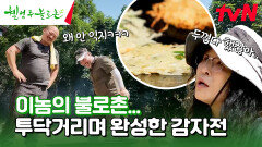 화력 이거 아닌 것 같은데🤔 10년 불장인ㅋㅋ이 피운 불로 감자전 굽기 #유료광고포함 | tvN 240727 방송