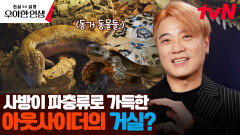 오로지 생물들을 위한 집..! 가수 아웃사이더의 세컨드 하우스🦎 | tvN 240530 방송