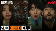 호랑이와 마주친 이동욱X이주빈X곽시양의 생존 런  (뛰어!!) | tvN 250415 방송