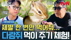 제발 내 먹이를 먹어줘ㅠㅠ 공명이 애원하게 만드는 다람쥐 밥 주기 체험!️ #highlight