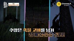 [예고] 7개의 전기 철조망을 넘어!? 강원도 인근 군사분계선을 걸어서 귀순한 북한군!