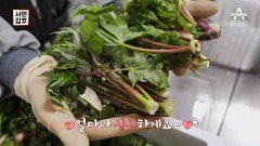 [예고] 영양 듬뿍 꼼꼼하게 선별한 제철 나물로 연 매출 60억!?
