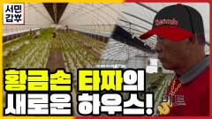 [선공개] 부업으로 시작한 10평 채소농장이 이제는 10000평?!