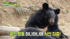 지리산 슈퍼스타★반달가슴곰을 만나러 간 아이들 (찰칵찰칵)