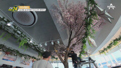 벚꽃나무 한그루로 카페 분위기 UP! 진짜 나무로 제작한 벚꽃 인조나무