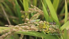 쌀, 한국을 넘어 세계로! ＂전 세계가 쌀에 빠지다＂