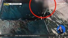 인도 돌진 차량에…엄마와 2살 딸 중상