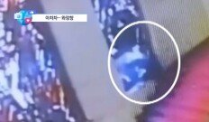 [앉아서 세계 속으로]계단서 발 헛디딘 의원…스테인드글라스 ‘와장창’