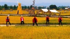 [앉아서 세계 속으로]중국 시골마을 오형제, ‘짝퉁 빅뱅’ 결성?